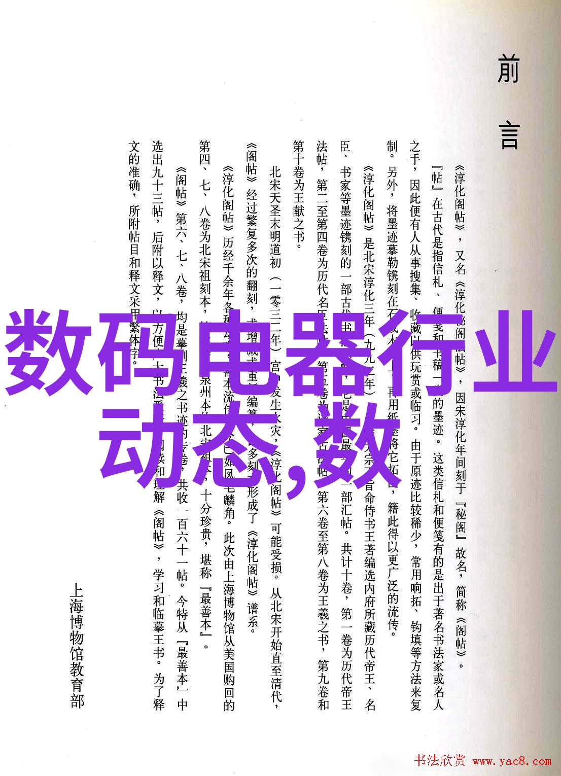 什么是最早的人类使用的砖种