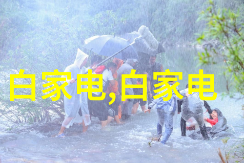 浴室防水大师揭秘卫生间防水材料的选择之道