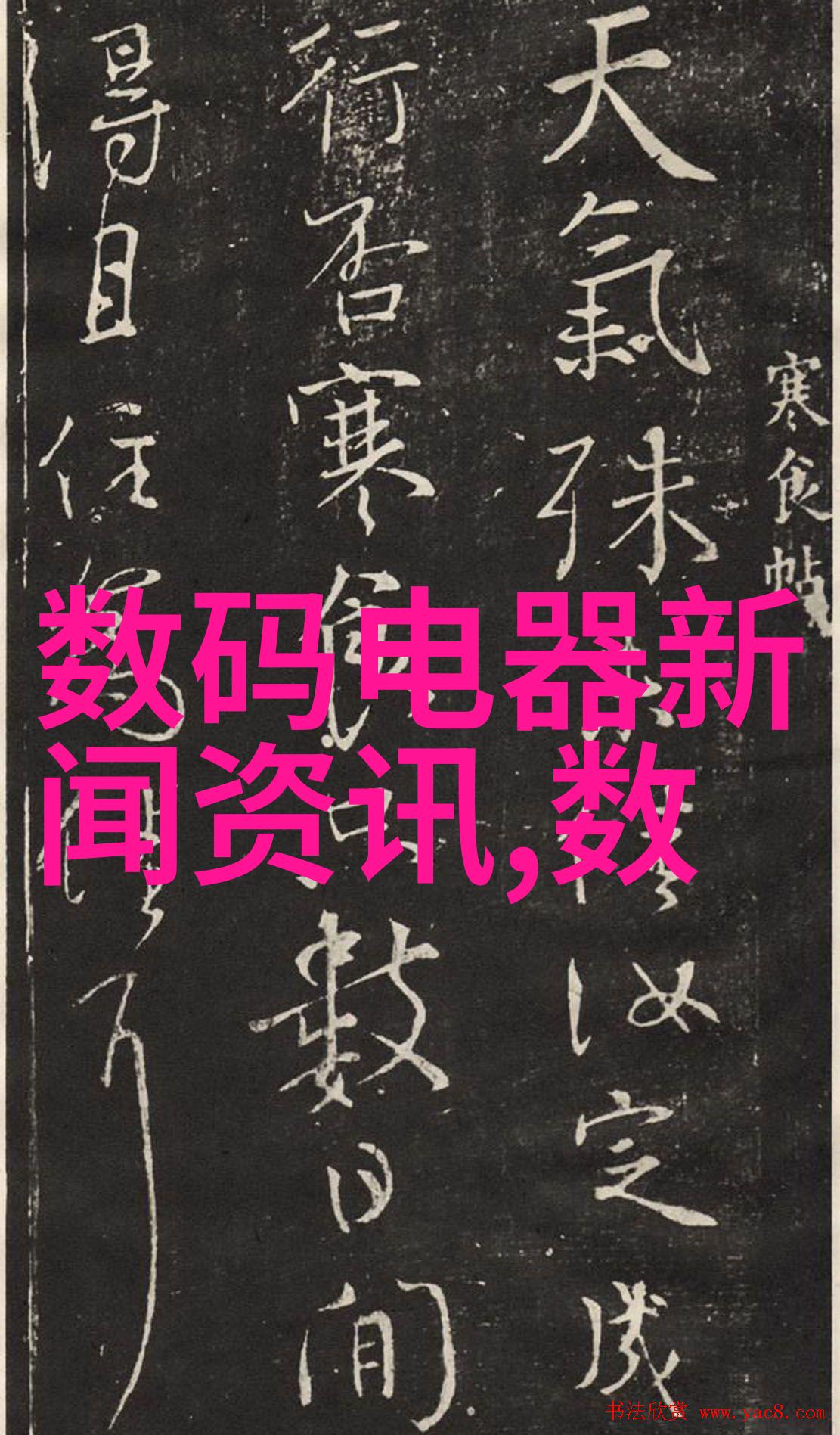 水利局的丰富项目宝库从水源治理到生态修复探索可行性工程