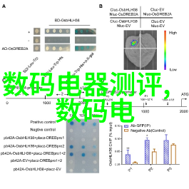 化学变革智能时代的新篇章