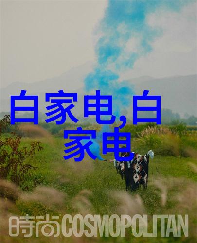 摄影初学者必备选择适合的入门相机