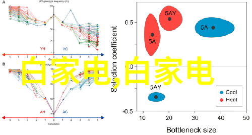 环保型工业水洗机绿色生产新趋势