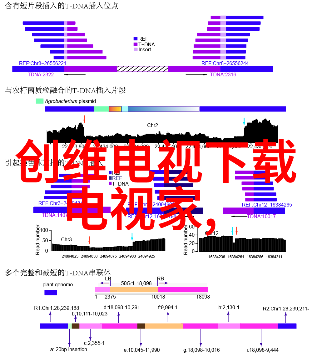 2021年客厅装修风格大赏创意与时尚的完美融合