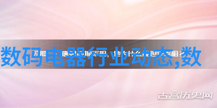 摄像机租赁平台我是如何在拍婚礼时遇到神奇的镜头搭档