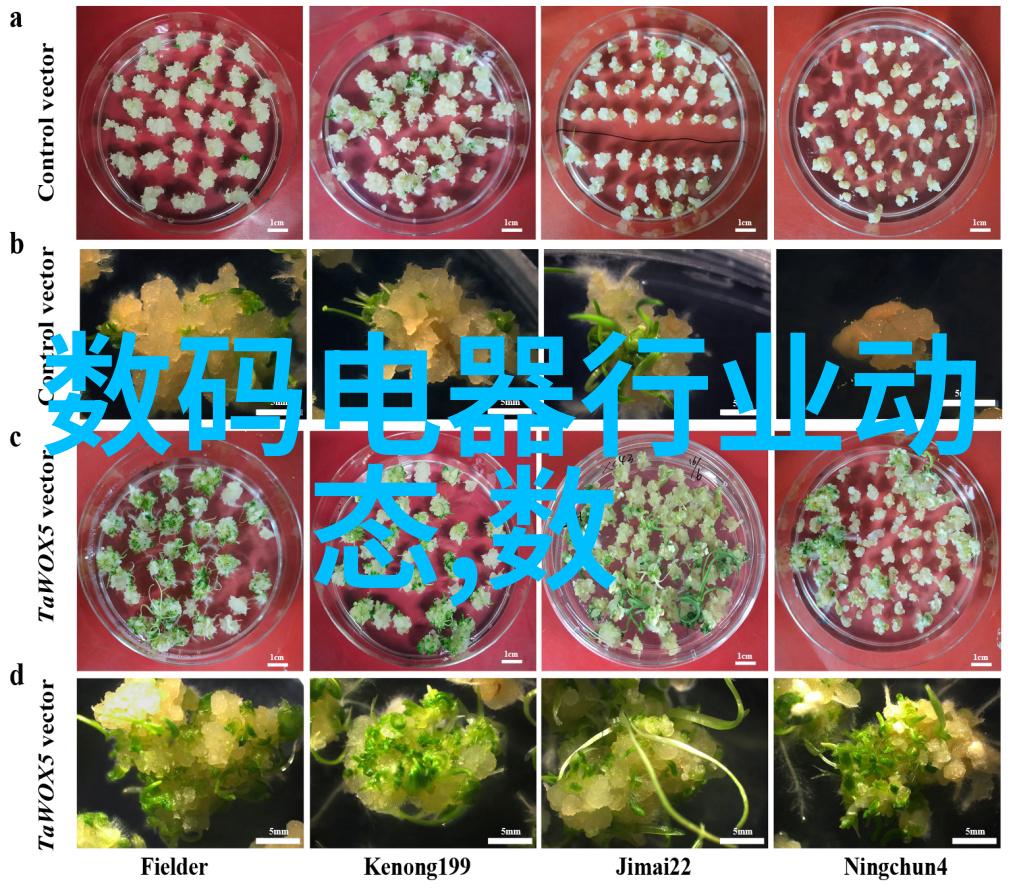 人工智能在大连智能交通管理中扮演什么角色