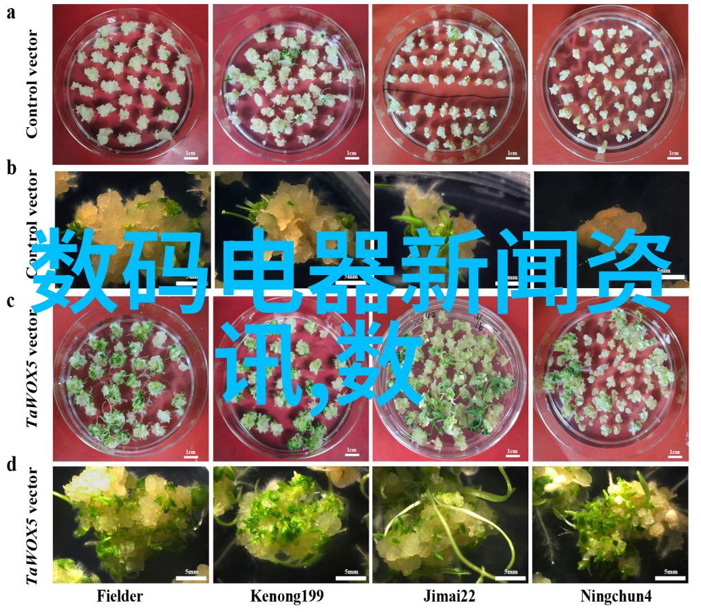 高效保温钢管节能环保的新选择