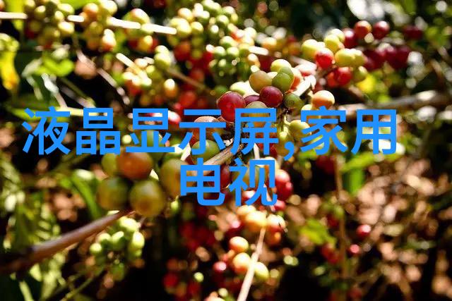 软件更新与硬件保养的艺术