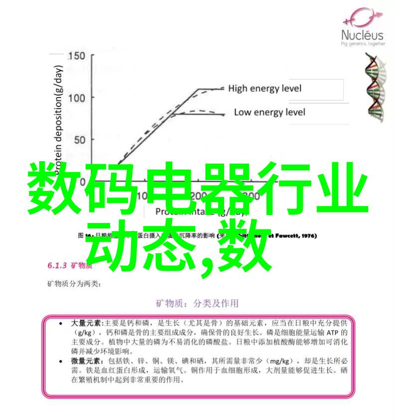 教师节的花语温暖心间的礼物