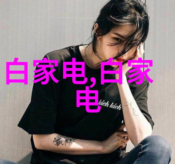 为何须臾不忘二次防水尤如压滤机中滤网的必备确保家居安宁