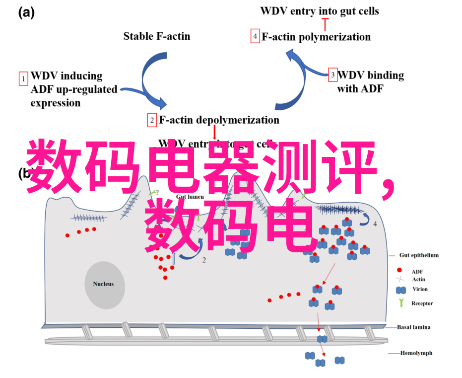 中式装修艺术古典韵味与现代审美的巧妙融合