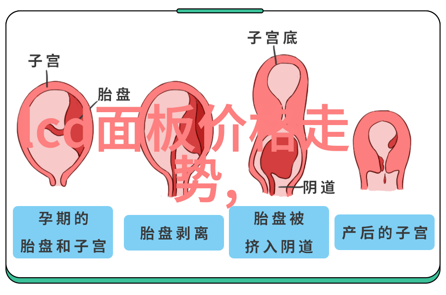 如何正确使用冰箱夏天保鲜食物的必备指南