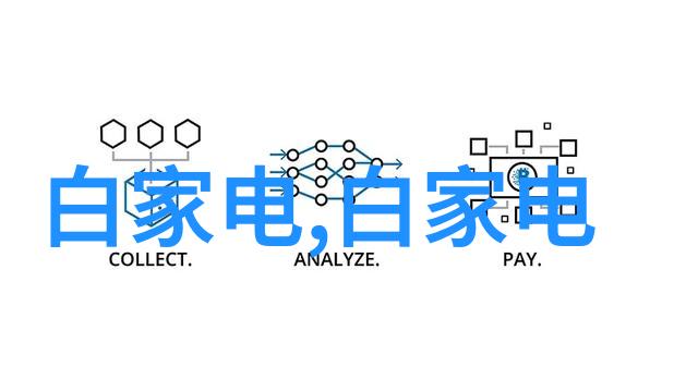 科技界新星闪耀继承创新传统的智慧之光