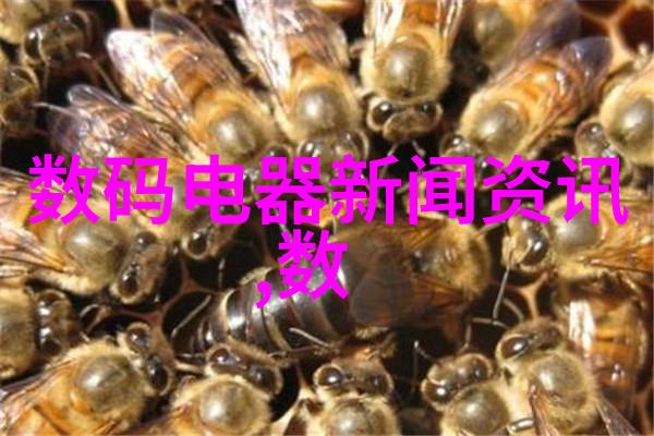 水管安装的二次防水之谜避免泄漏守护家居安全