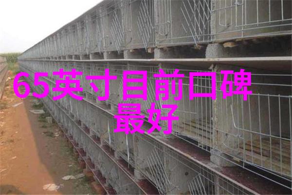 绿色建筑与工民建专业紧密相连吗