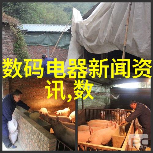 墙砖之韵外墙饰面砖工程的诗意施工与验收篇章