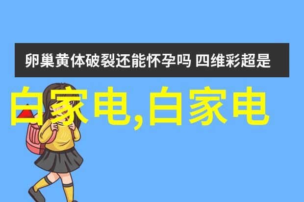 什么是简约装修的核心原则以及在设计效果图时该如何体现这些原则