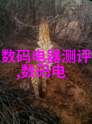 沐风网共享智慧织就知识的网络