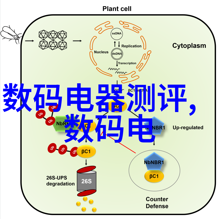 探索仪器分析的广阔天地从生物医学到环境监测