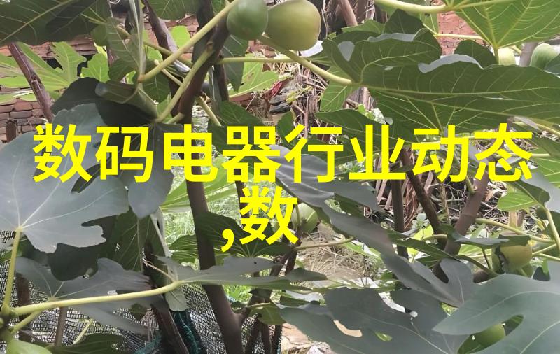 摄影之都-天津摄影器材城镜头下的华夏古韵与现代魅力