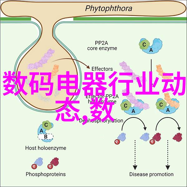 油烟机清洗指南如何彻底去除油烟滴滴的黑暗面