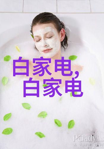 家居美学探索掌握装修设计的艺术与科技