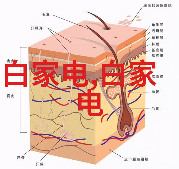 生活中人工智能产品有哪些我来告诉你几个常见的AI小帮手