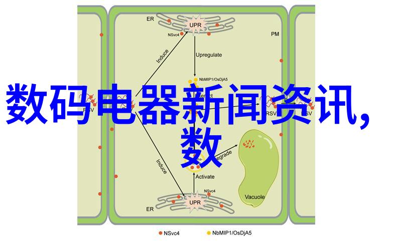 压缩机的秘密揭开它那令人捉摸不透的工作原理