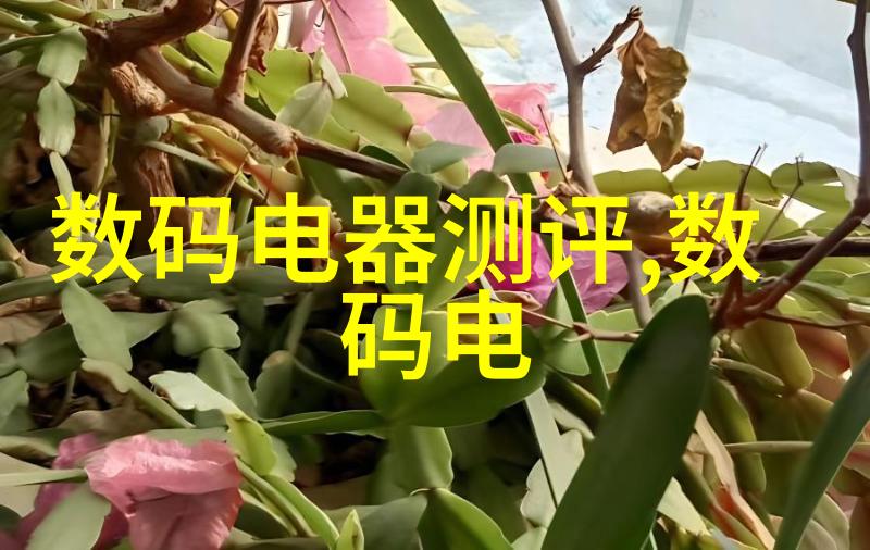 圆满包揽探索全包圆的魅力与应用