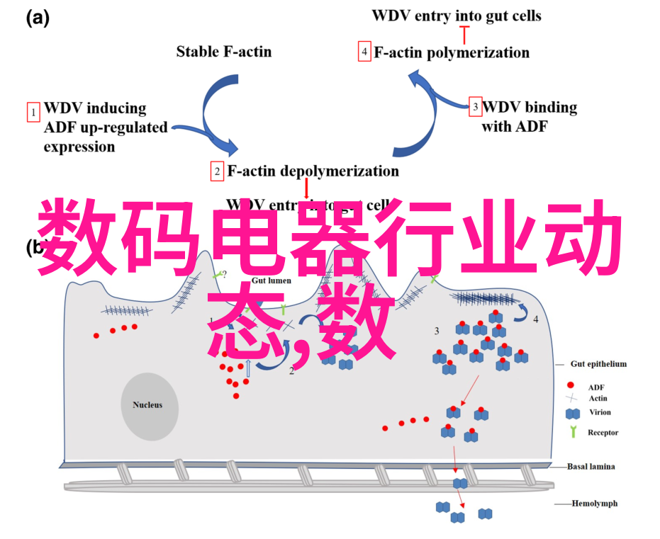 现代化卫生间装修指南创造完美的洗浴空间