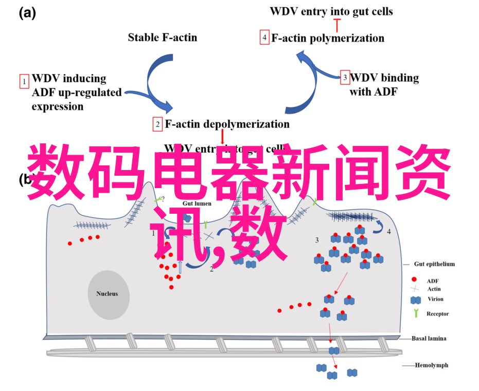 小户型空间优化选择合适书柜的技巧