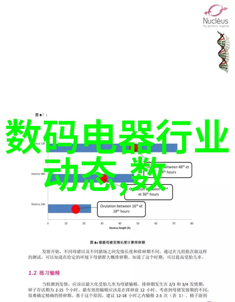 拆改安装技艺解锁家居改造的秘诀与实用指南