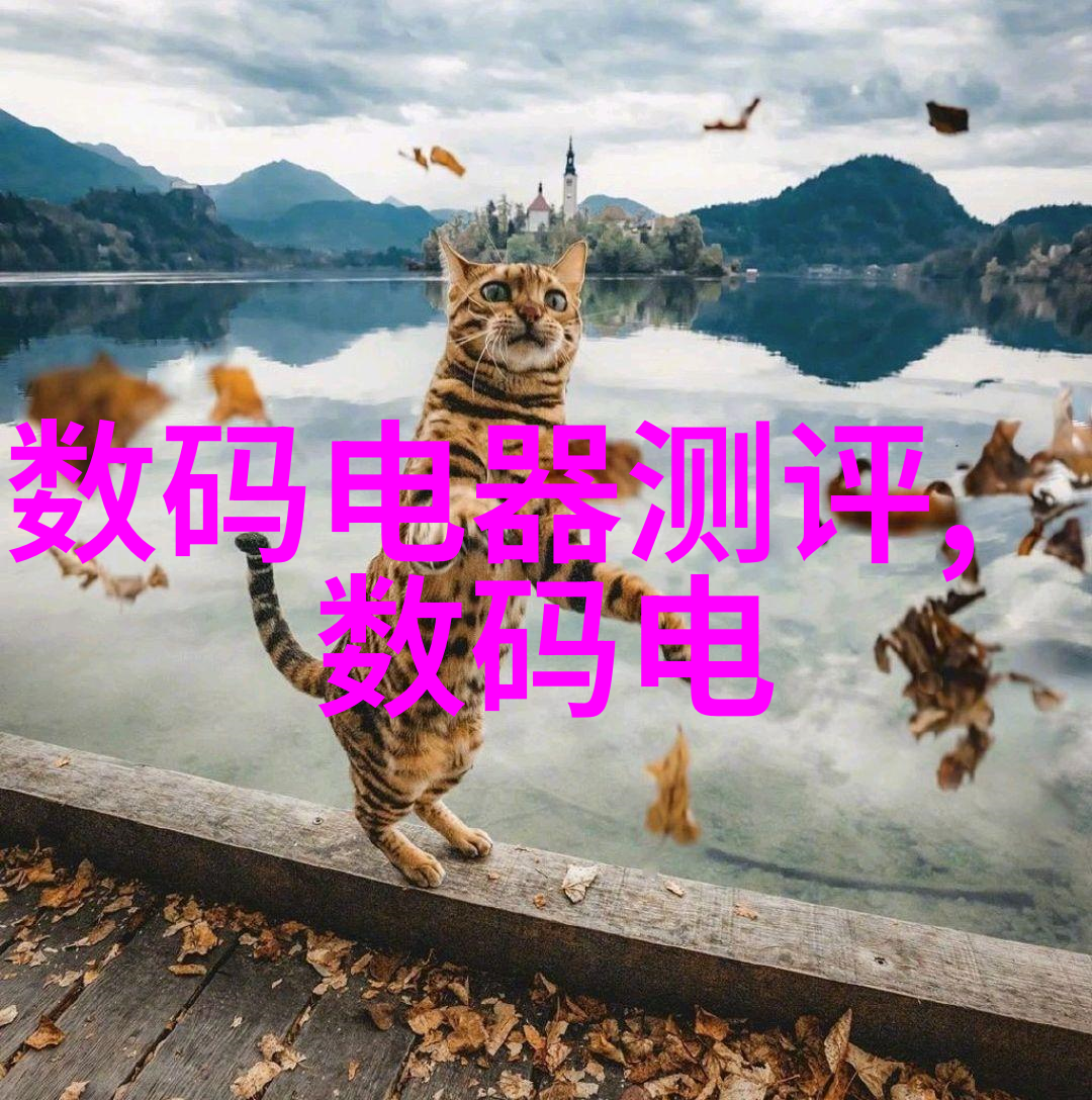 财富之旅智慧的投资指南